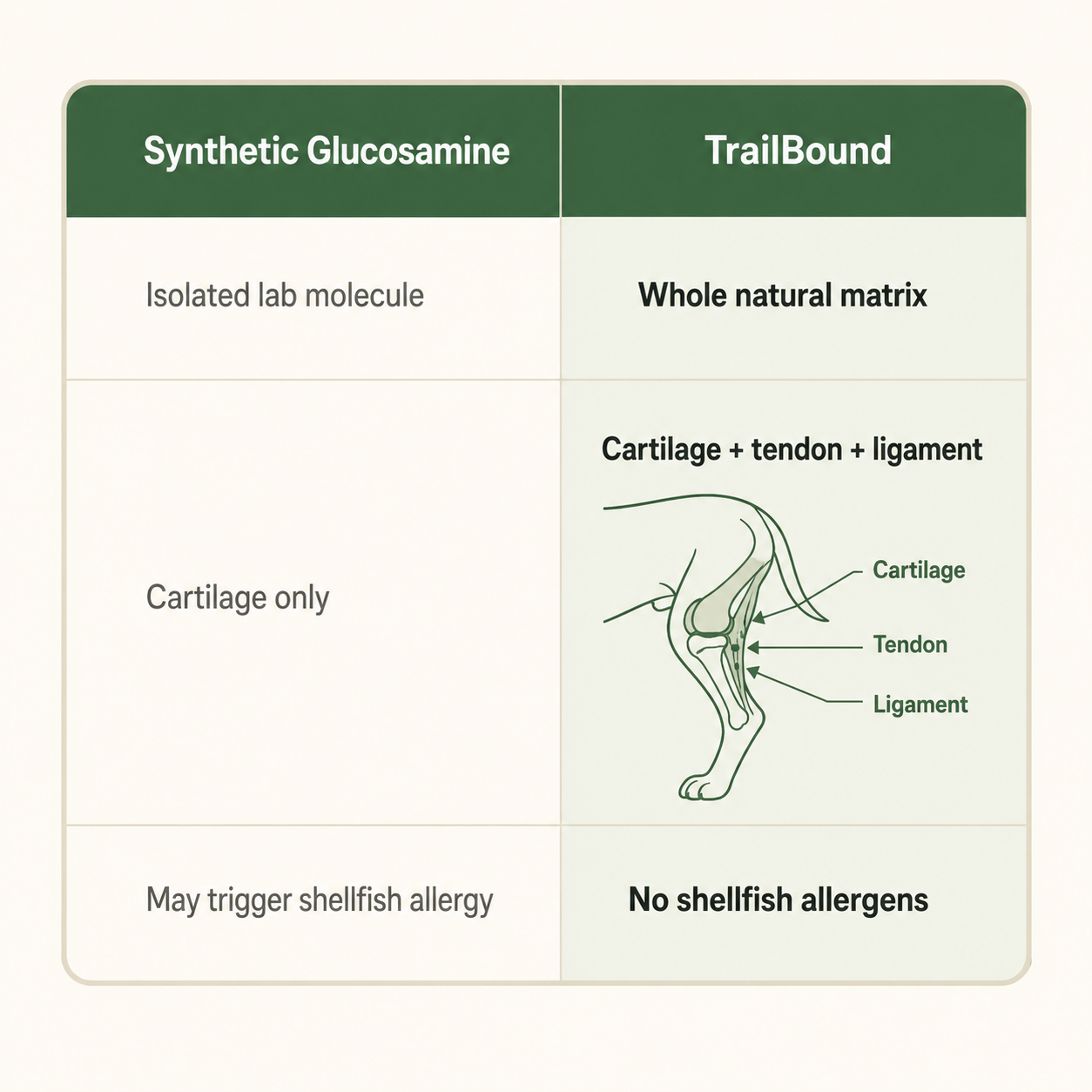 TrailBound Hip & Joint Chews for Dogs — Natural Eggshell Membrane Formula